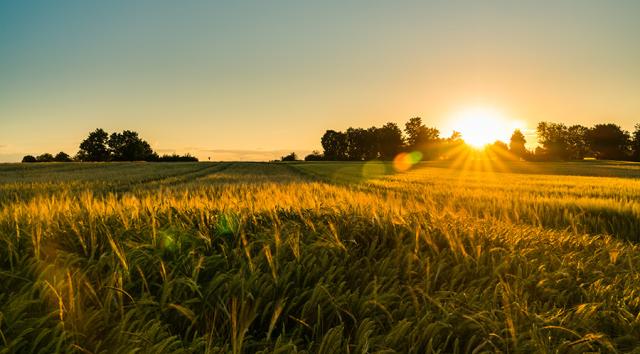 landwirtschaftliche Flächen vdpResearch